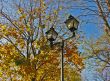 Street lantern against autumn leafs and blue sky