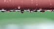 Water Drops