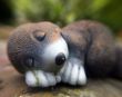My Friend The Mole