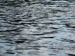 Colored wavy water