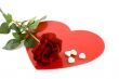 Love with rose