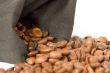 Close-up Coffee Beans
