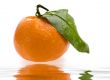 tangerine