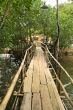 wooden pathway