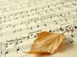 autumnal melody 1
