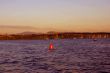 Western high rise, SR-520 floating bridge