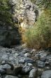 Narrow canyon with fall trees