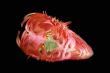 flower-heart