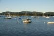 Boats at anchor,	in harbor