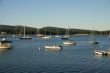 Boats at anchor,	in harbor
