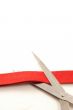 Cutting red ribbon