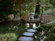 Japanese garden