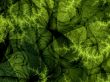 an abstract background