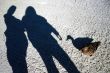 Shadows