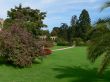 The landscape