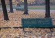 Bench, fall