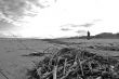 Alone on the beach