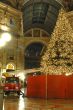Tree under ancient buildings