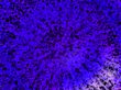 blue pluto