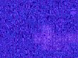 psychedelic blue