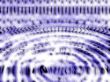 lavender ripple
