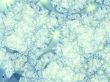 a backdrop for your designs