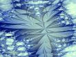 a backdrop for your designs