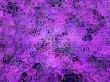 purple abstract
