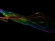 colourful abstract insect wing