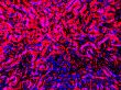 violet and close colours abstract