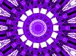 purple glistener