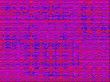 pink and purple