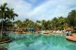 Tropical Swimming Pool