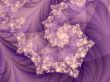 a backdrop for your designs