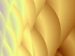 a backdrop for your designs