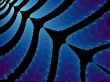 a backdrop for your designs