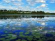 midday lake