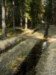 spring forest road