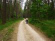 summer road