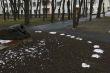 winter without snow