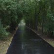 black asphalt road after rain