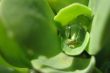 Drop of water