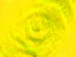 abstract info