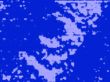 blue squares