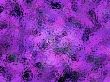 purple window abstract