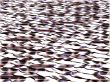 wavelets
