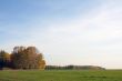 Early autumn.