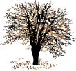 Autumn tree