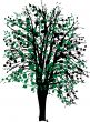 Tree with leaves