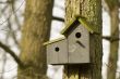double birdhouse